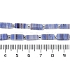 Handmade Lampwork Beads Strands LAMP-Q037-01B-07-4