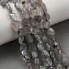 Natural Labradorite Nuggets Beads Strands X-G-J335-40-1