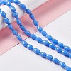 Faceted Glass Beads Strands GLAA-E037-01D-4