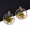 Transparent Clear Epoxy Resin & Dried Flower Pendants RESI-S383-075-C02-3