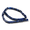 Natural Lapis Lazuli Beads Strands G-C084-E05-01-3
