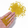 Glass Seed Beads SEED-US0003-2mm-10-4