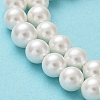 Shell Pearl Bead Strands X-BSHE-L026-03-6mm-6