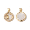 Rack Plating Brass Shell Pendants KK-D087-25G-09-1