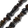 Natural Tiger Eye Chip Beads Strands G-M205-03A-1