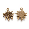 Tibetan Style Alloy Pendants LS-TIBEP-A113357-AB-FF-2