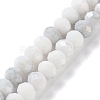 Electroplate Glass Beads Strands LAMP-S068-02D-1