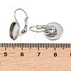Tarnish Resistant Flat Round Tray Smooth Surface 304 Stainless Steel Leverback Earring Findings STAS-R065-65-2