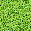 11/0 FGB Grade A Baking Paint Glass Seed Beads X-SEED-N001-A-1024-2