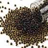 TOHO Round Seed Beads SEED-XTR08-0245-1