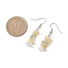 Natural Mixed Stone Dangle Earrings EJEW-JE06154-01-3