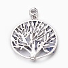Natural Lapis Lazuli European Dangle Charms PALLOY-JF00353-05-2