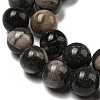 Natural Black Fossil Coral Beads Strands G-R494-A04-04-3