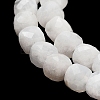 Natural Rainbow Moonstone Beads Strands G-H042-A02-02-4