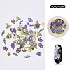 Halloween Nail Stickers MRMJ-S035-039H-1