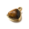 Natural Tiger Eye Triangle Charms STAS-D310-02G-01-2