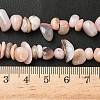 Natural Pink Opal Beads Strands G-L505-25-6
