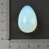 Opalite Egg Shape Display Decorations G-Z094-01C-3