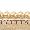 Electroplated Shell Pearl Beads Strands BSHE-G041-14mm-01-4