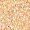 FGB Inside Colours Transparent Glass Seed Beads SEED-T009-01G-2