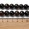 Dyed Natural Blue Tiger Iron Beads Strands G-G286-A02-10mm-5