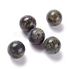 Natural Dragon Bloodstone Beads G-D456-07-1