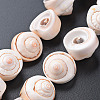 Natural Spiral Shell Bead Strands X-SSHEL-N034-106-2