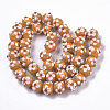 Handmade Lampwork Beads Strands LAMP-N021-001F-2