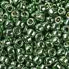 TOHO Round Seed Beads X-SEED-TR15-PF0560-2
