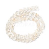 Transparent Glass Beads Strand X1-GLAA-F112-04K-3