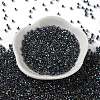 Glass Seed Beads X-SEED-S042-13A-19-2