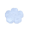 Natural Gesso Blossom Display Decorations PW-WG5C9D5-01-5