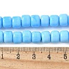 Handmade Lampwork Beads Strands LAMP-I030-02C-4