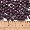 Picasso Baking Paint Glass Seed Beads SEED-A032-02A-17-4