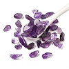 Natural Amethyst Chip Beads G-Q193-02B-1