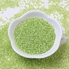 MIYUKI Delica Beads Small SEED-X0054-DBS0174-2