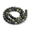 Natural Serpentine/Green Lace Stone Beads Strands G-S259-15-8mm-2