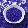 MIYUKI Delica Beads X-SEED-J020-DB0216-2