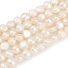 Natural Cultured Freshwater Pearl Beads Strands PEAR-P064-20B-02A-02-2