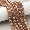Round Natural Multi-Moonstone Beads Strands LS-G-I176-09-10mm-02-5