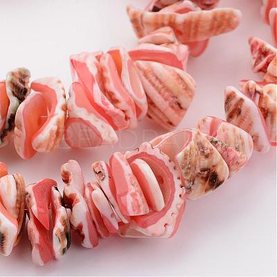 Natural Shell Bead Strands BSHE-P010-03-1