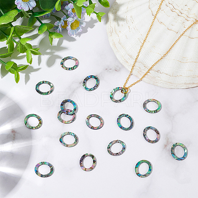 25Pcs Natural Abalone Shell/Paua Shell Cabochons SHEL-WR0001-01-1