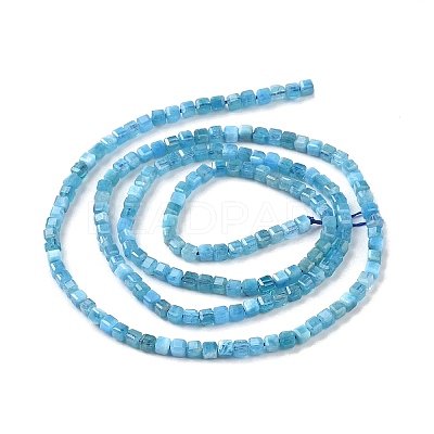 Natural Apatite Beads Strands G-P457-B01-14A-1