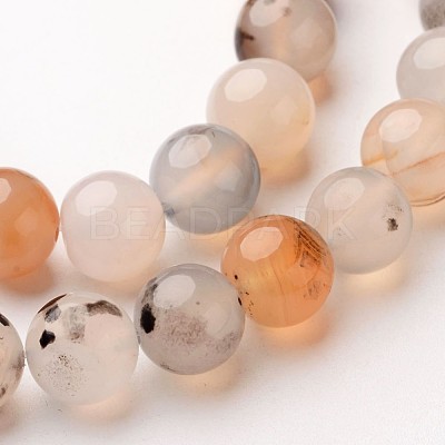 Natural Dendritic Agate Beads Strands X-G-D845-04-8mm-1