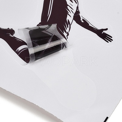 PVC Self-Adhesive Picture Stickers PL-Z001-01A-1