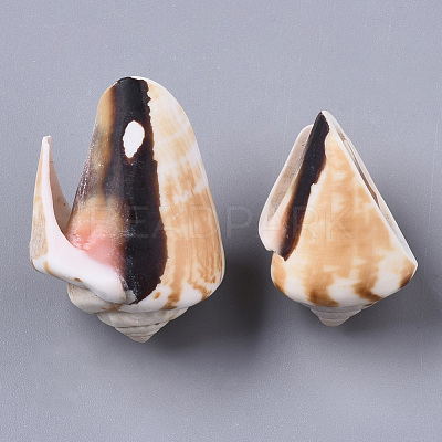 Natural Spiral Shell Beads SSHEL-S258-82-1