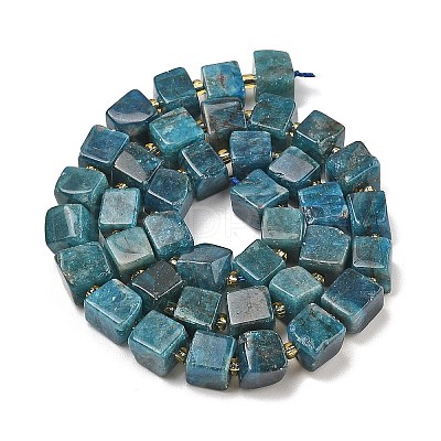 Natural Apatite Beads Strands G-G053-B18-04-1