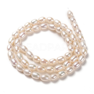 Natural Cultured Freshwater Pearl Beads Strands PEAR-L033-67-01-1