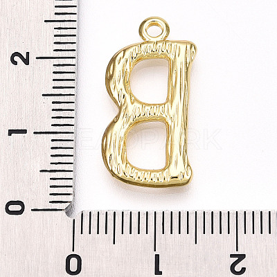 304 Stainless Steel Pendants STAS-N117-01G-B-1