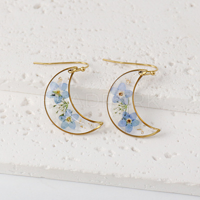 Moon 304 Stainless Steel Dangle Earrings WG43EF9-04-1